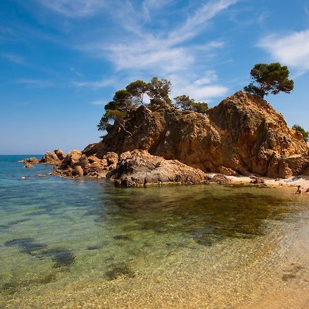 Estudis Laura Appartement Castell-Castell-Platja d'Aro Buitenkant foto